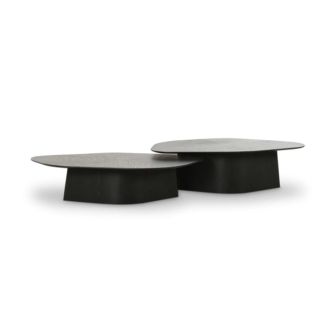 Roche 2-Piece Ash Nesting Coffee Table Set