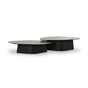 Roche 2-Piece Ash Nesting Coffee Table Set